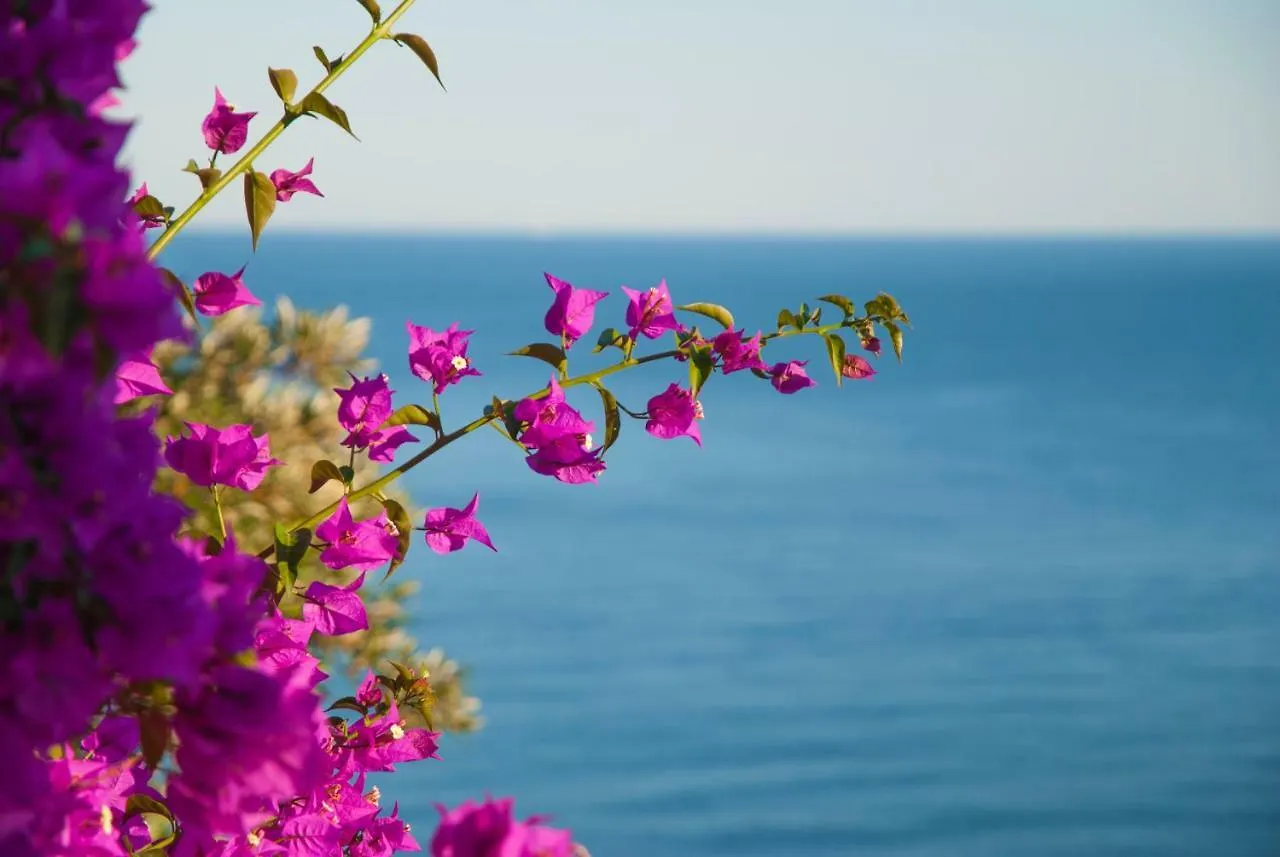 Prázdninový dům Villa Eliodora - Due Appartamenti Arenzano