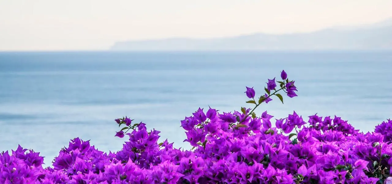 Villa Eliodora - Due Appartamenti Arenzano Prázdninový dům